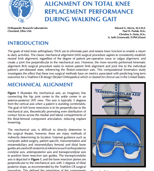 The Influence of Kinematic Alignment on Total Knee Replacement Performance During Walking Gait